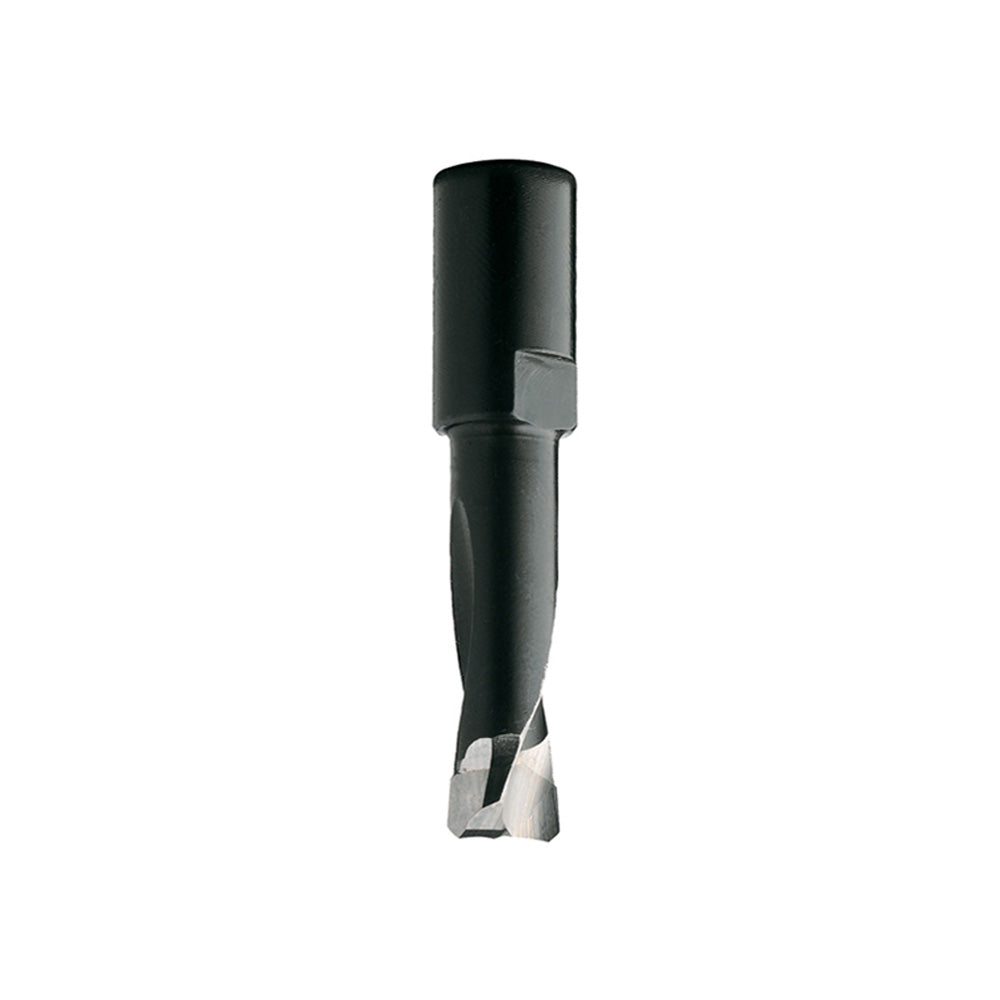 CMT 12mm Domino Cutter for Festool DF 700 Joiner