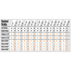 CMT 8" Pro Dado Set (SawStop Compatible)