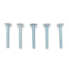 Big Horn 1/4"-20 x 1-3/4" T-Bolts (5 Pack)