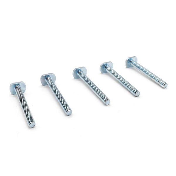 Big Horn 1/4"-20 x 2-1/4" T-Bolts (5 Pack)