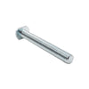Big Horn 5/16"-18 x 2-1/2" T-Bolts (5 Pack)