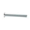Big Horn 5/16"-18 x 2-1/2" T-Bolts (5 Pack)