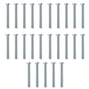Big Horn 5/16"-18 x 2-1/2" T-Bolts (25 Pack)