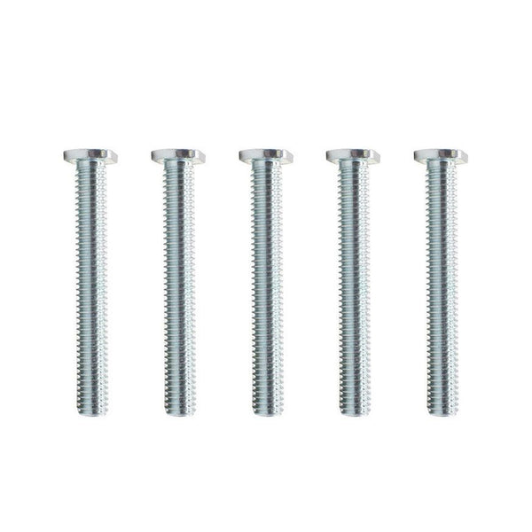 Big Horn 5/16"-18 x 2-1/2" T-Bolts (5 Pack)