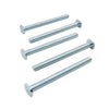 Big Horn 5/16"-18 x 3-1/2" T-Bolts (5 Pack)