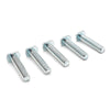 Big Horn 5/16"-18 x 1-1/2" T-Bolts (5 Pack)