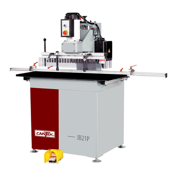 Cantek JB21P 21 Spindle Line Drill - Pneumatic